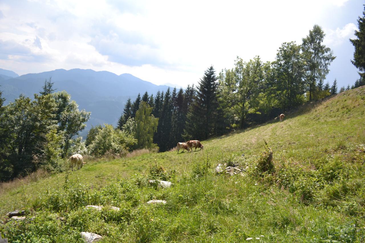 Gasthof Oberer Gesslbauer Stanz Im Murztal エクステリア 写真
