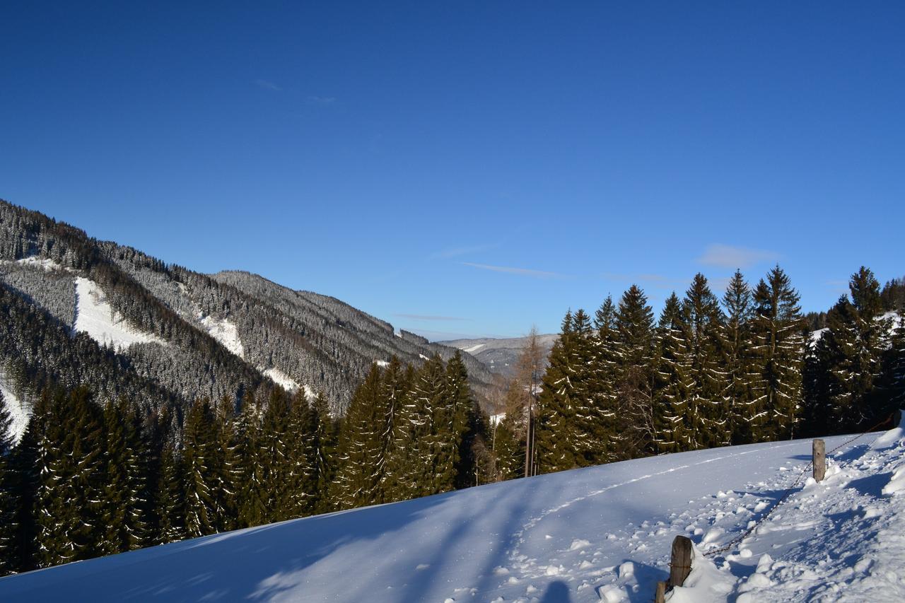 Gasthof Oberer Gesslbauer Stanz Im Murztal エクステリア 写真