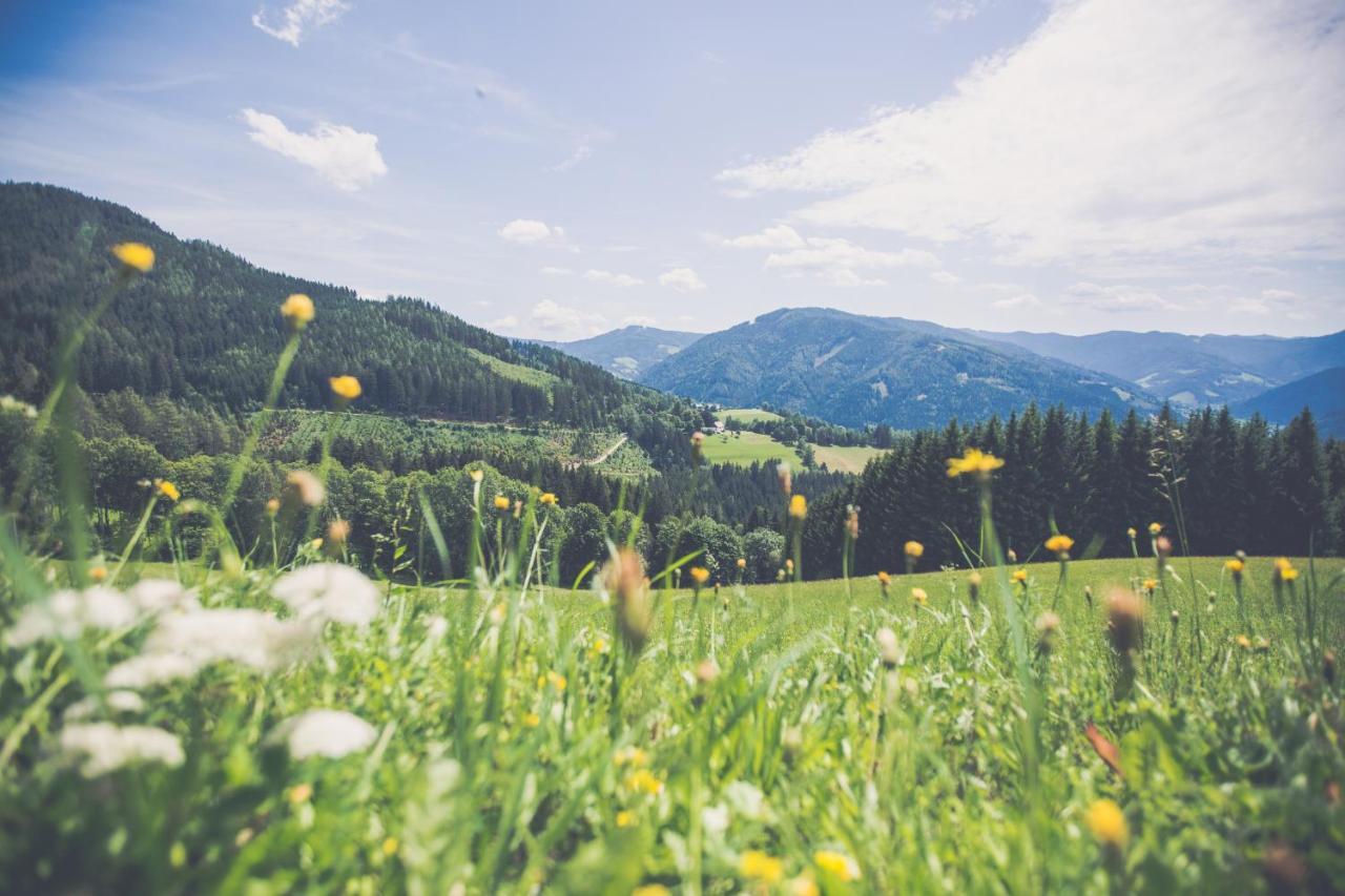 Gasthof Oberer Gesslbauer Stanz Im Murztal エクステリア 写真