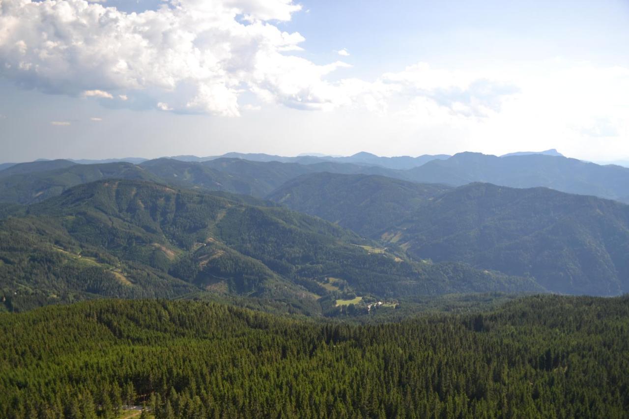 Gasthof Oberer Gesslbauer Stanz Im Murztal エクステリア 写真